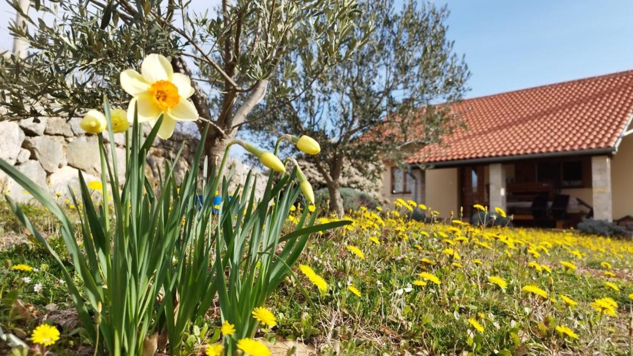 Holiday House Green Dream Obrovac Exterior photo